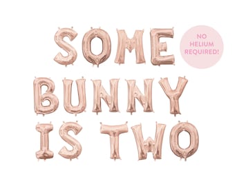Some Bunny is Two Balloon Banner - Some Bunny Theme - Easter Birthday - Bunny Smash Cake Decor - Smash Cake Photo - Custom Bunny Balloons