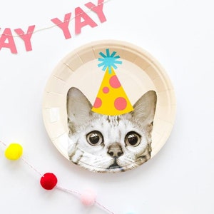 K&ouml;nnte beinhalten: Ein wei&szlig;er Pappteller mit einer Katze, die einen gelben und rosafarbenen Partyhut tr&auml;gt. Die Katze schaut in die Kamera. Der Teller ist von einer rosa-wei&szlig;en Pomponkette und einem rosa Banner mit der Aufschrift "yay yay" umgeben.