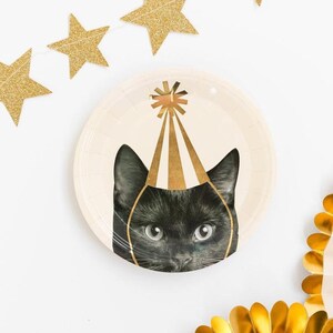 K&ouml;nnte beinhalten: Eine schwarze Katze mit einer goldenen Partym&uuml;tze schaut hinter einem wei&szlig;en Pappteller hervor, im Hintergrund eine goldene Sternen-Girlande.