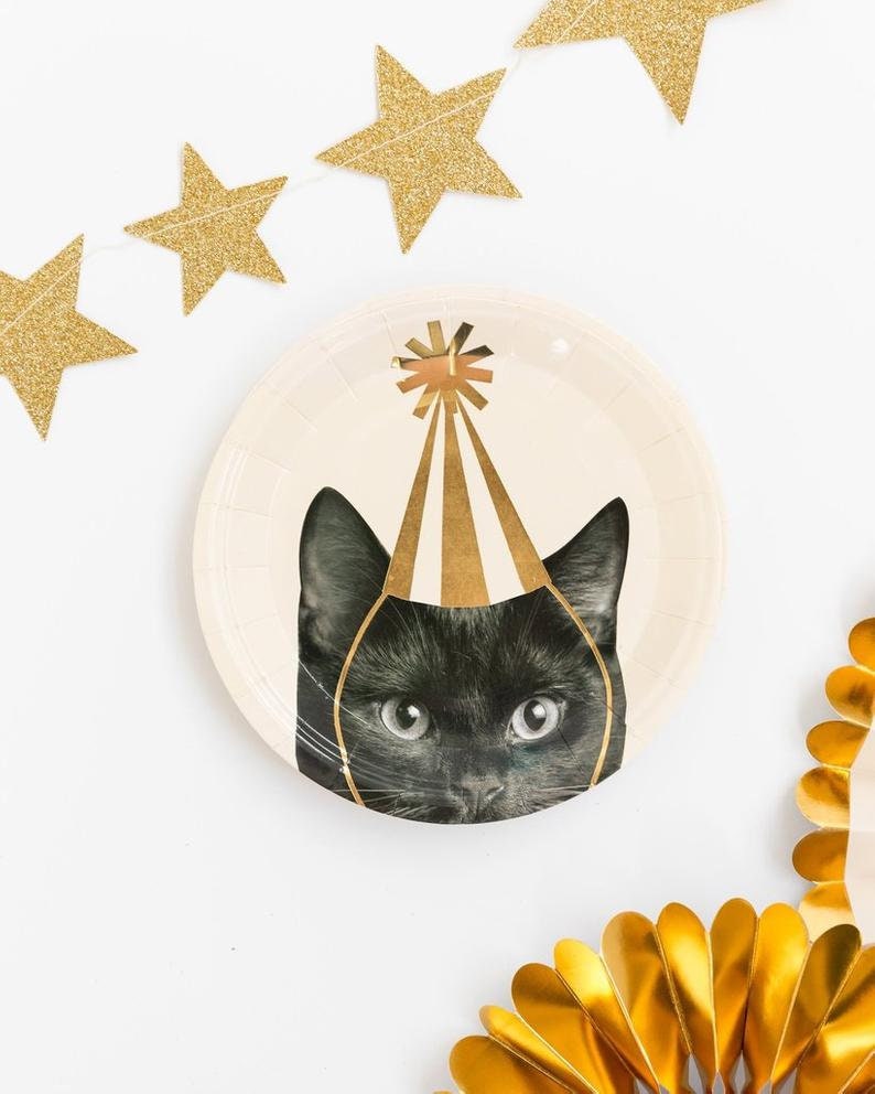 K&ouml;nnte beinhalten: Eine schwarze Katze mit einer goldenen Partym&uuml;tze schaut hinter einem wei&szlig;en Pappteller hervor, im Hintergrund eine goldene Sternen-Girlande.