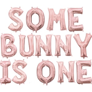 Some Bunny is One Balloon Banner - Some Bunny Theme - Easter Birthday - Bunny Smash Cake Decor - Smash Cake Photo - Custom Bunny Balloons