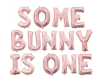 Some Bunny is One Balloon Banner - Some Bunny Theme - Easter Birthday - Bunny Smash Cake Decor - Smash Cake Photo - Custom Bunny Balloons