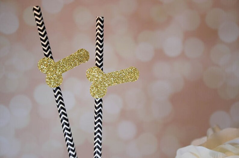 Bachelorette Party Straws Funny Party Straws Paper Party Straws Chevron Party Straws Penis Straws image 3