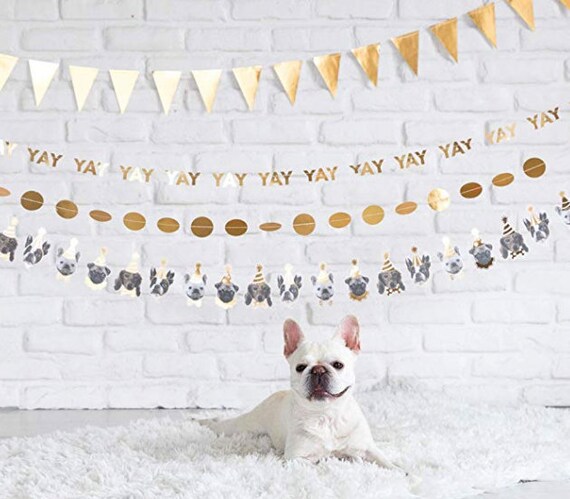Party Animal Garland - 6 ft long - Birthday Dog Decor - Party Animal Theme - Dog's Birthday Decor - Let's Pawty Theme - Dog Birthday Banner