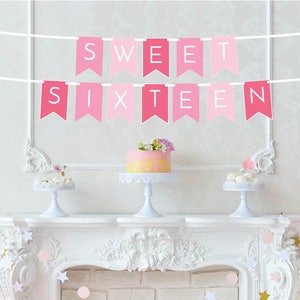 Sweet Sixteen Banner - Sweet 16 Birthday Decor - Happy Sweet 16 Banner - Sweet 16 Party Decor - Pink Party Decor - Sweet 16 Party sign