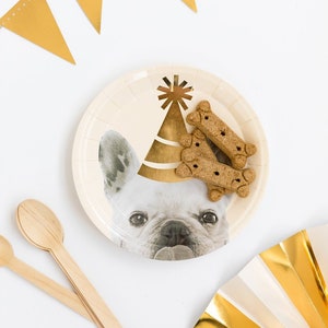 K&ouml;nnte beinhalten: Wei&szlig;er Pappteller mit einer goldenen Partym&uuml;tze und einer Franz&ouml;sischen Bulldogge, die eine Partym&uuml;tze tr&auml;gt. Der Teller hat ein goldenes Sternendesign. Auf dem Teller liegen drei Hundekekse.