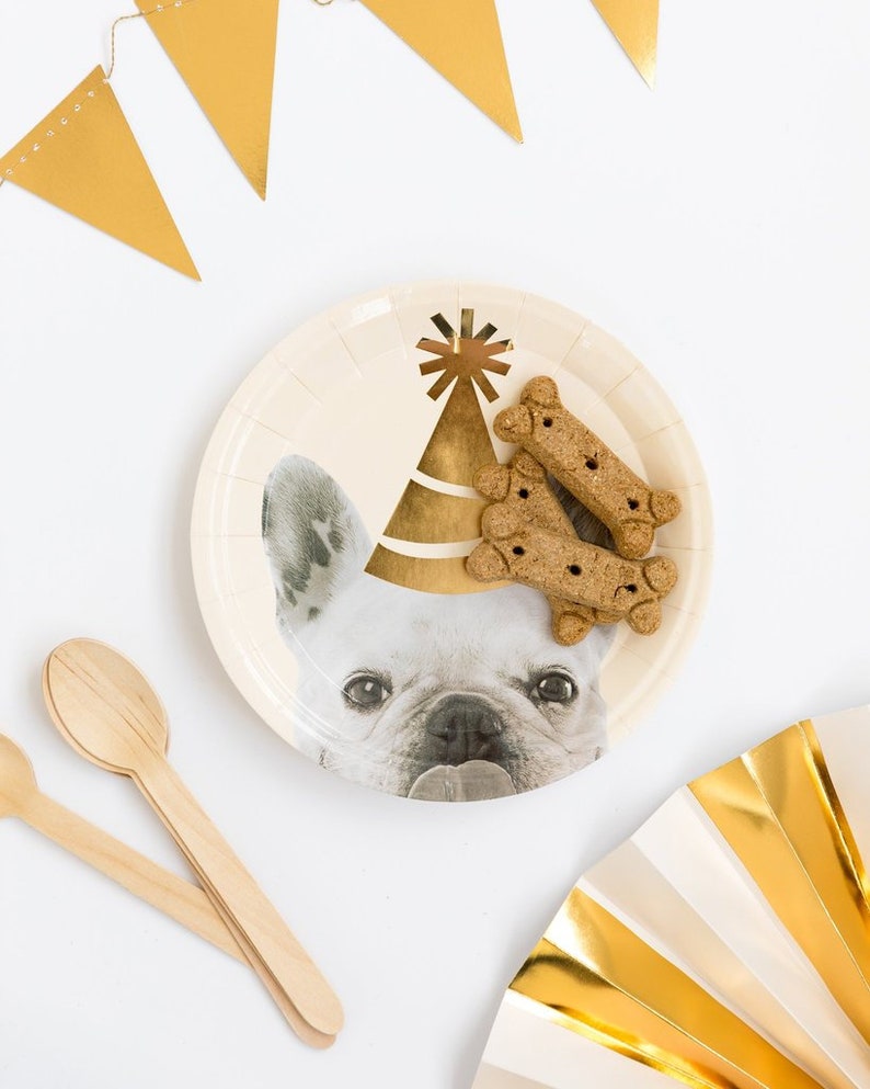 K&ouml;nnte beinhalten: Wei&szlig;er Pappteller mit einer goldenen Partym&uuml;tze und einer Franz&ouml;sischen Bulldogge, die eine Partym&uuml;tze tr&auml;gt. Der Teller hat ein goldenes Sternendesign. Auf dem Teller liegen drei Hundekekse.