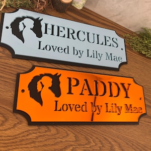 Może przedstawiać: Dwie dekoracyjne tabliczki z imionami koni. Jedna jest jasnoniebieska z napisem "HERCULES" i "Loved by Lily Mae". Druga jest pomarańczowa z napisem "PADDY" i "Loved by Lily Mae". Obie mają sylwetkę konia i jeźdźca.