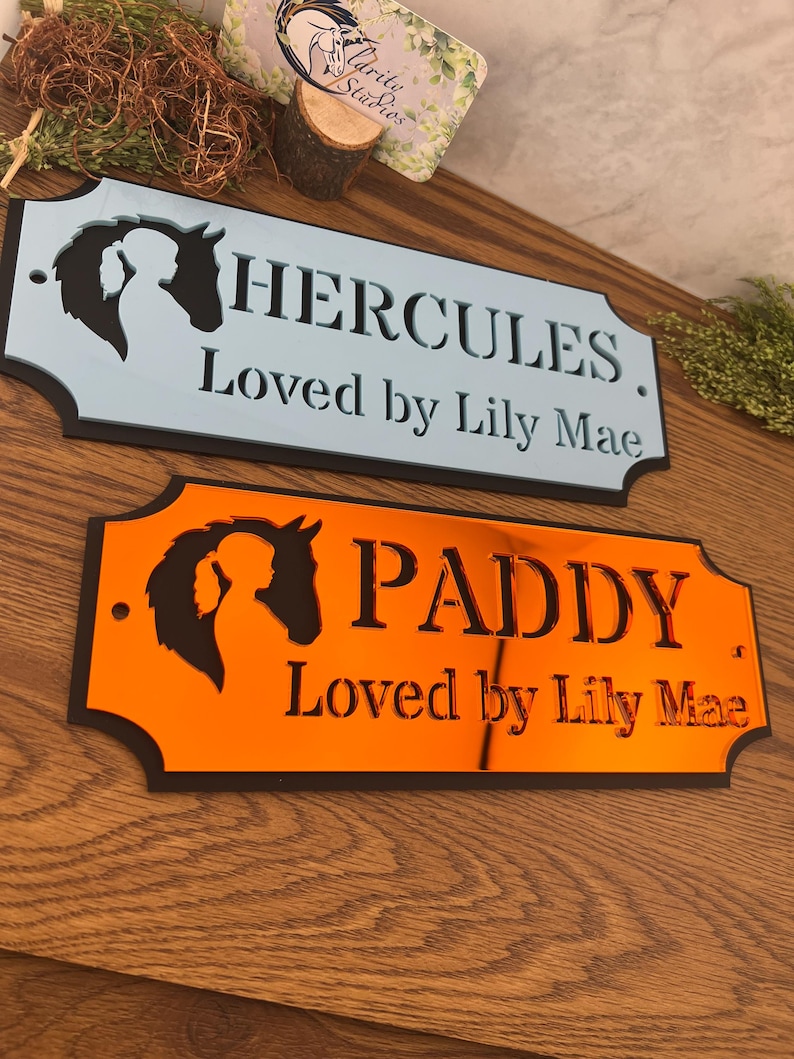 Może przedstawiać: Dwie dekoracyjne tabliczki z imionami koni. Jedna jest jasnoniebieska z napisem "HERCULES" i "Loved by Lily Mae". Druga jest pomarańczowa z napisem "PADDY" i "Loved by Lily Mae". Obie mają sylwetkę konia i jeźdźca.