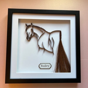 Personalised Custom Dory Design, Horse Silhouette Memorial Frame using your horses Tail Hair Framed