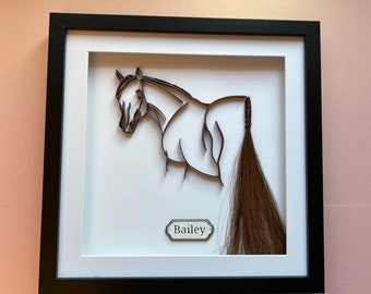 Personalised Custom Dory Design, Horse Silhouette Memorial Frame using your horses Tail Hair Framed