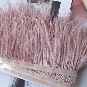 Pu&ograve; includere: Bordatura in piume di struzzo rosa con un retro in nastro di raso. La bordatura in piume &egrave; morbida e soffice, e il nastro &egrave; di colore rosa chiaro.