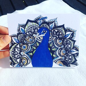 Cartes de paon mandala dessinées à la main, cartes de voeux zen couleur