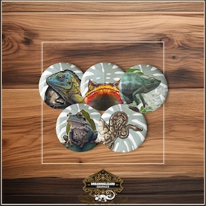 Könnte beinhalten: Fünf runde Knöpfe mit Bildern von verschiedenen Reptilien und Amphibien. Die Knöpfe zeigen ein grünes Chamäleon, einen rot-orangen Frosch, einen grünen Leguan, eine braun-schwarze Kröte und eine braun-weiße Schlange. Die Knöpfe sind von einem grün-weißen tropischen Blattdesign umgeben.