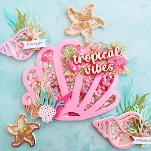 Moldes de corte para sacolas de gelatina com conchas – Molde para sacolas de presente com tema de oceano 3D para artesanato de verão, criação de cartões, scrapbooking e lembrancinhas de festa