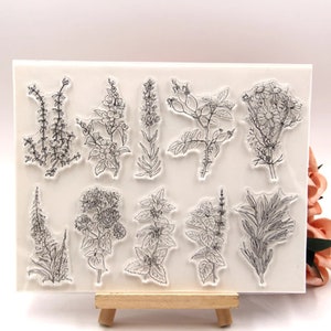 Timbri trasparenti Piante ed Erbe – Set di timbri botanici per journaling, creazione di biglietti e artigianato fai da te