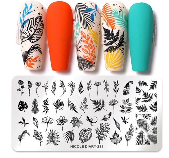 Buy Nail Stamping Plate Kit,10pcs Nail Stamping Plate,8pc Gradient  Sponge,1pc Clear Jelly Silicone Stamper,Nail Art Stamping Plates Manicure  Template Nail Art Tools,Rocutus Online at desertcartINDIA