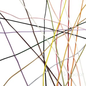 May include: A collection of thin, multicolored cords arranged in a crisscrossing pattern. The cords appear in shades of black, white, yellow, red, orange, pink, purple, brown, green, and gray. The text Bias Bespoke Supply Co is visible.