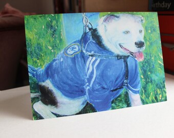 chelsea fc dog jersey