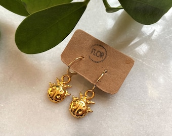 Ladybird hoop earrings : Small hoop earrings with ladybug charms