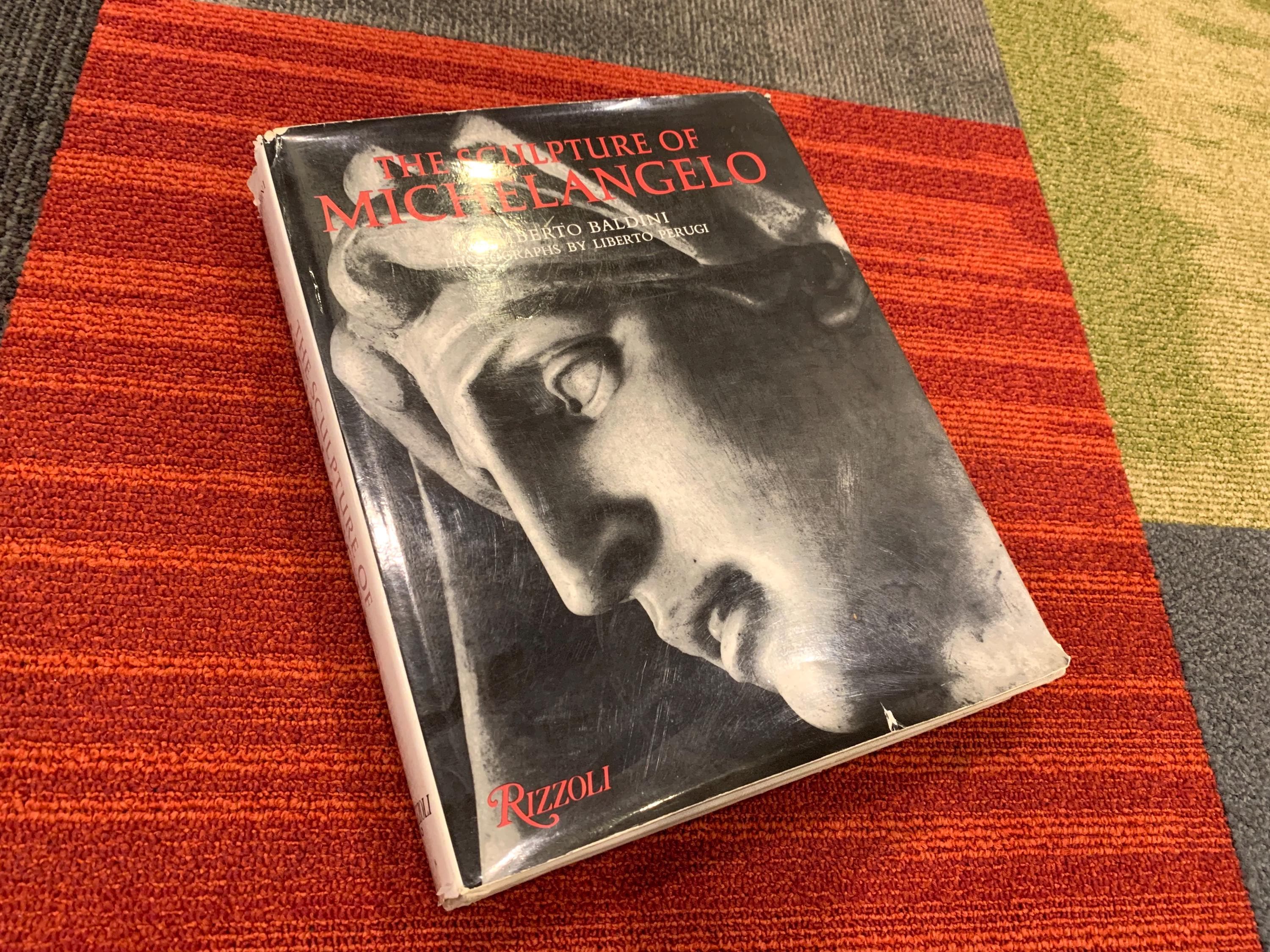 Vintage Michelangelo Book - Etsy