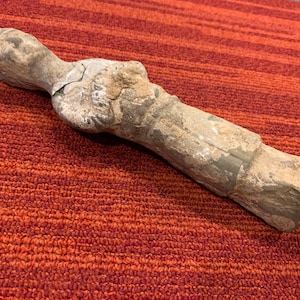 Ancient Chinese Tomb Figure MINGQI Funerary Statue 618-907 AD Painted Terracotta