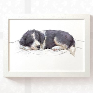 Sleeping Border Collie dog print nursery wall art, collie gifts for dog lovers, dog nursery art new baby gift, dog wall art gift
