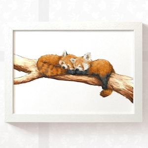 Cadeau pour bébé jumeau imprimé panda roux, cadeau de baby shower pour chambre d'animal de zoo, nouveau cadeau de baptême pour bébé, cadeau de 1er anniversaire, décoration de chambre d'enfant dans la jungle