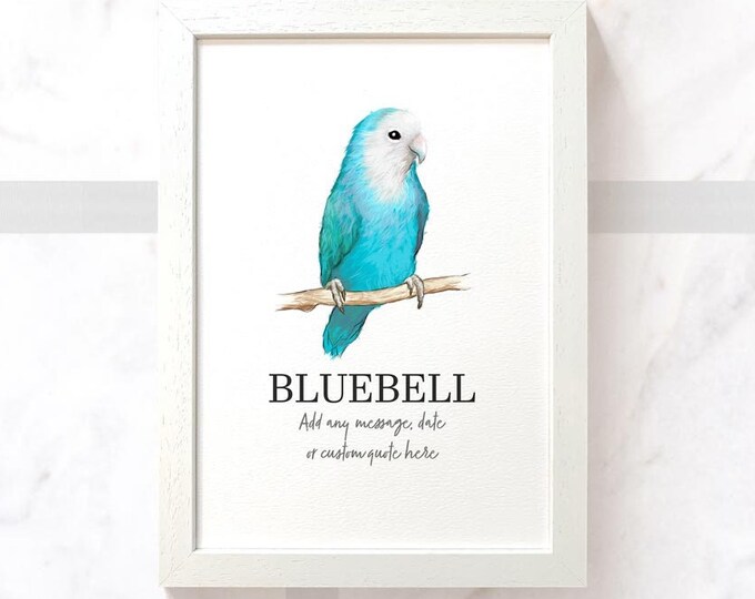 Lovebird Ripeness Chart Poster - Etsy Canada