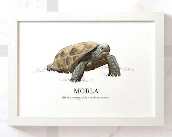Tortoise print, pet tortoise birthday gift reptile decor, tortoise birthday gift, tortoise poster pet memorial gifts
