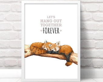 Red Panda Drawing Etsy Red Panda Drawing Etsy
