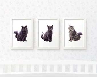 Cat prints set of 3 nursery decor, Black cat nursery art, Tabby Cat gifts for cat lovers, Cat new baby gift, Cat baby shower gift