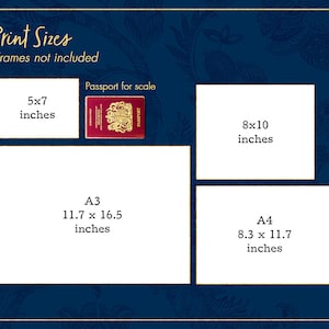 Op de afbeelding: Een grafiek met verschillende afdrukformaten met een paspoort als schaal. De formaten zijn 5x7 inch, 8x10 inch, A3 (11,7 x 16,5 inch) en A4 (8,3 x 11,7 inch).