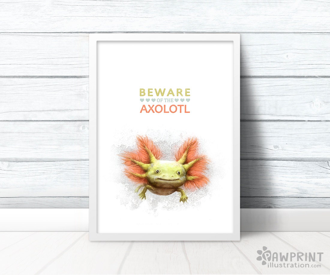 Beware Of The Axolotl Cute Axolotl Pet Sign Print With Quote Etsy Beware Of The Axolotl Cute Axolotl Pet Sign Print With Quote Etsy