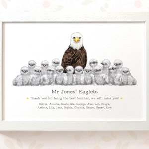 May include: A framed print featuring a central adult bald eagle surrounded by a group of fluffy grey eaglets. Below the illustration, the text reads: Mr Jones' Eaglets, Thank you for being the best teacher, we will miss you!, followed by a list of names.