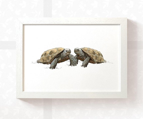 Art mural pour chambre d'enfant imprimé tortues jumelles, cadeau