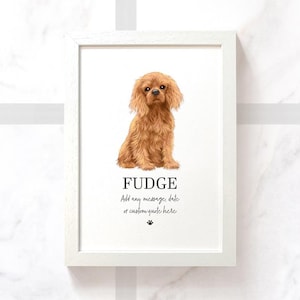 Puede incluir: Una impresión enmarcada con una ilustración en acuarela de un perro Cavalier King Charles Spaniel. El perro está representado en tonos marrones y tostados, con el nombre "FUDGE" debajo. La impresión incluye espacio para un mensaje personalizado y una huella de pata.