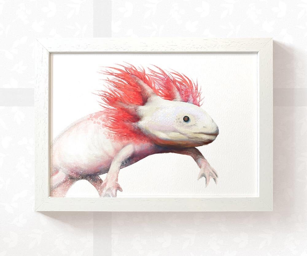 Axolotl Nursery Print In Neutral Pink Blue Cute Axolotl Etsy Axolotl Nursery Print In Neutral Pink Blue Cute Axolotl Etsy