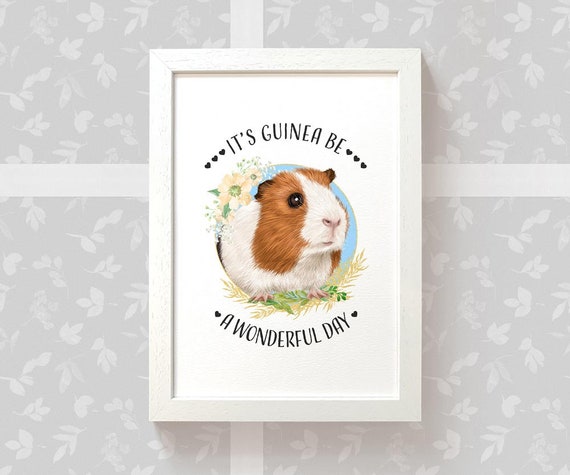 Quotes About Guinea Pigs: Whiskers of Wisdom!