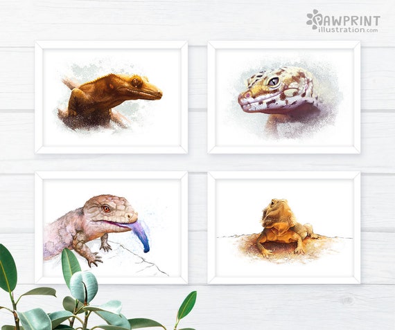 leopard gecko dragon