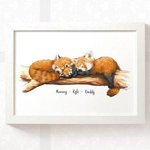 Op de afbeelding: Een aquarelillustratie van een rode panda-familie die op een tak slaapt. De moeder en vader rode panda's knuffelen een baby rode panda. De tekst "Mummy - Kyle - Daddy" staat onder de rode panda's.