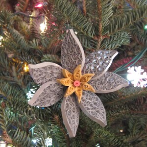Weihnachtsblume