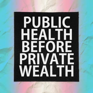 Healthcare Punk Patch – Public Health Before Private Wealth – Sew On