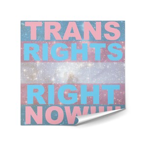Sticker Pack | Trans Rights | Punk Stickers | Progressive Stickers | Leftist Sticker