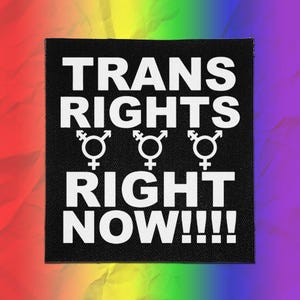 Punk Patch - Transrättigheter just nu | Queer Patch