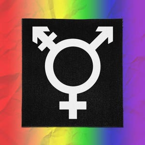 Trans Pride Punk Patch – Transgender Symbol – Sew On