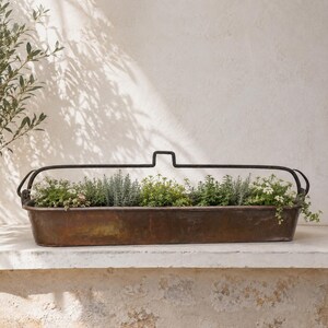 Peut inclure: Une jardinière rectangulaire allongée en cuivre patiné par le temps, présentant une teinte sombre et oxydée. Elle est dotée d'une haute poignée métallique arquée sur toute sa longueur et contient diverses petites herbes vertes et fleurs blanches.