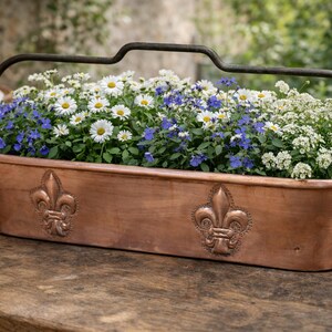 Może przedstawiać: Miedziana donica wypełniona białymi stokrotkami, niebieskimi kwiatami i białym smagliczką. Prostokątna donica ma uchwyt i wzory fleur-de-lis. Donica stoi na drewnianym stole.