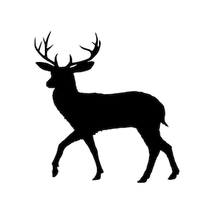 Deer 2 Buck Silhouette Vinyl Decal - Doe | Hunting | Stag | Fawn | Hart | Cervus | For Cars, Water Bottles, Art, Laptops, Sticker, Mirrors
