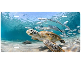 Peut inclure: Une tortue de mer verte nage dans une eau bleue claire avec un banc de poissons argentés. La tortue est au premier plan et les poissons nagent à l'arrière-plan. Le fond de l'océan est sablonneux.